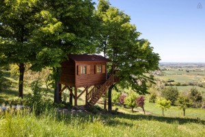 Treehouse Tiny House